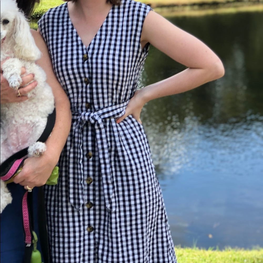 Gingham black and white dress (mango)